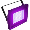 EUROLITE FL-50 SMD Violet IP-klassiga LED-prožektor – kompaktne SMD-valgusti, violetne valgusväljund