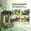 EASYPIX linnukaamera Easypix Bird Cam 10123 1080p HD öise nägemisega