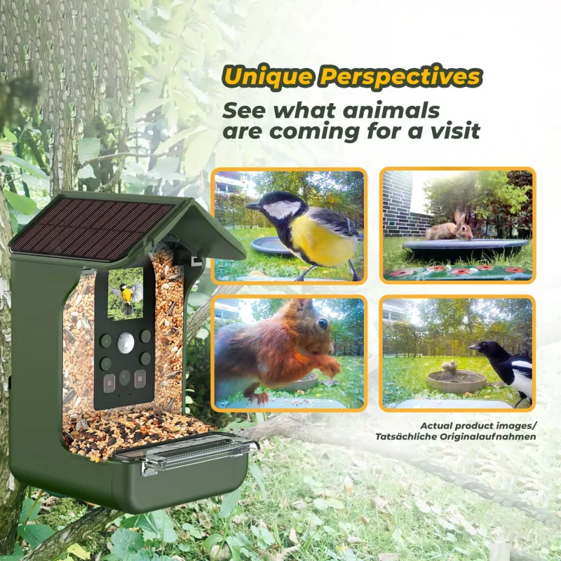 EASYPIX linnukaamera Easypix Bird Cam 10123 1080p HD öise nägemisega
