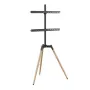 Teleritarviku põrandastatiiv 32-65/TRIPOD TVS-65S-01 Gembird