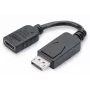 Digitus DisplayPort Adapter / Konverter