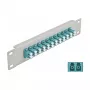 Fiiberoptiline jaotuspaneel DeLOCK 10 tolli 12 porti LC Dupleks Aqua 1U Hall