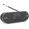 Kaasaskantav raadio TechniSat DIGITRADIO BT 2 DAB+ FM 20W