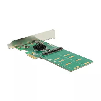 Sisemine SATA-adapter DeLOCK 89588