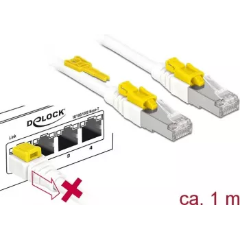 Võrgukaabel DeLOCK 85331 RJ-45 Cat6a 1 m Valge