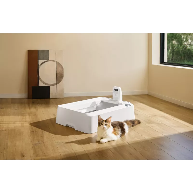 Isepuhastuv kassiliivakast PETKIT T7-EU, valge