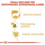 Royal Canin Yorkshire Terrier täiskasvanud 85 g