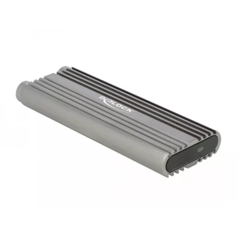 SSD-korpus DeLOCK 42001 Silver M.2