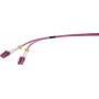 Renkforce RF-4942830 fiiberoptiline LWL ühenduskaabel [1x LC-pistik - 1x LC-pistik] 50/125 µ Multimode OM4 1,00 m (RF-4942830)