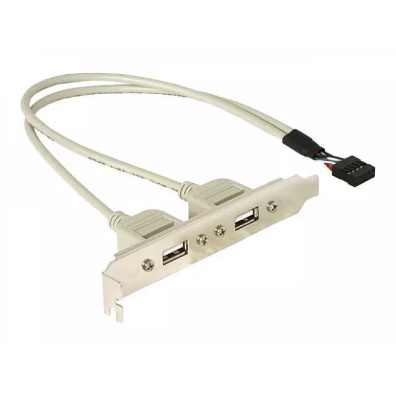 Slotklamber 1x sisemine USB 5pin -> 2x väline USB2.0 DeLOCK 71000