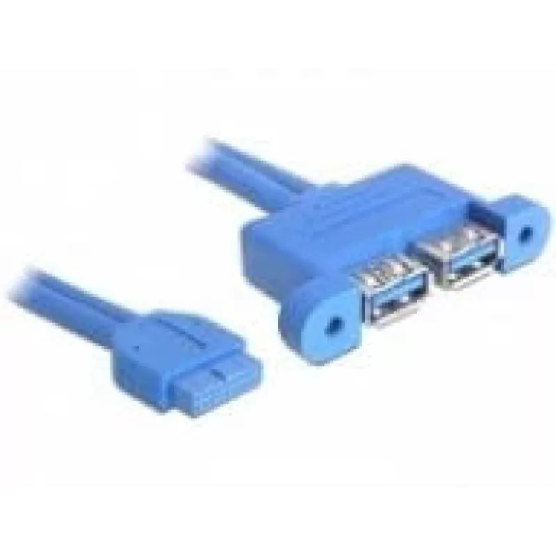 USB-kaabel DeLOCK 82941 USB 3.2 Gen 1 0,45 m 2 x USB A Sinine