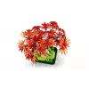 LEGO BOTANICALS 10348 Jaapani punase vahtra bonsaipuu