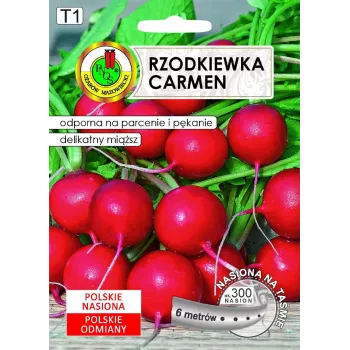 Seemned Apte Rzodkiewka CARMEN — poola redisesort aastaringseks kasvatamiseks