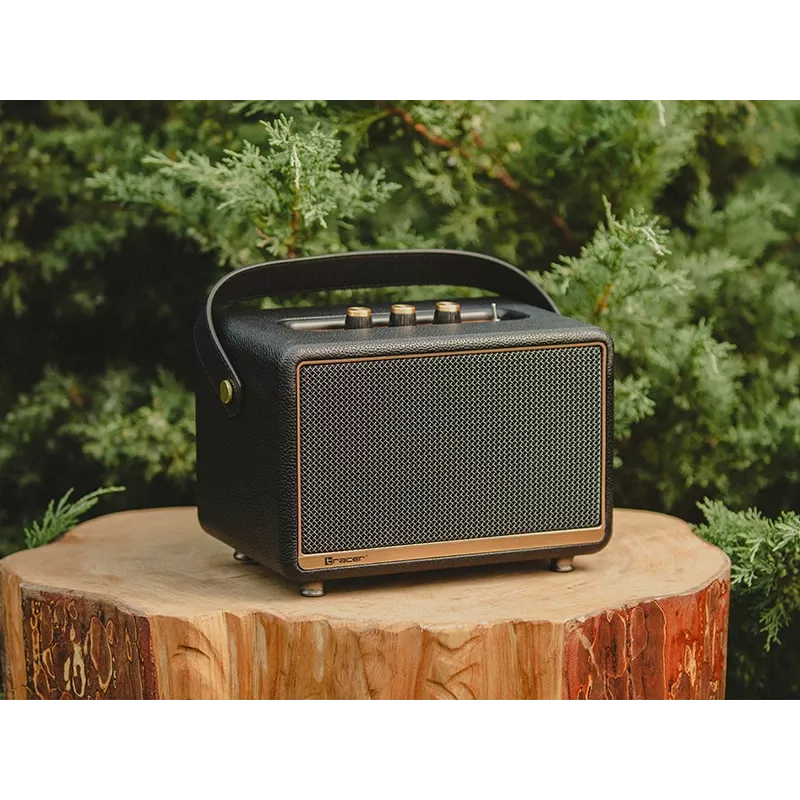 Stereo Portable Speaker Tracer M30 TWS BT Must, Gold