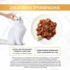 GOURMET GOLD - Pardi- ja kalkunilihaga pajaroog 85g