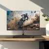 Monitor THOMSON M24FB2Y14 24 tolli (61 cm) Full HD 1920x1080 VA LED, 14 ms, VESA, must