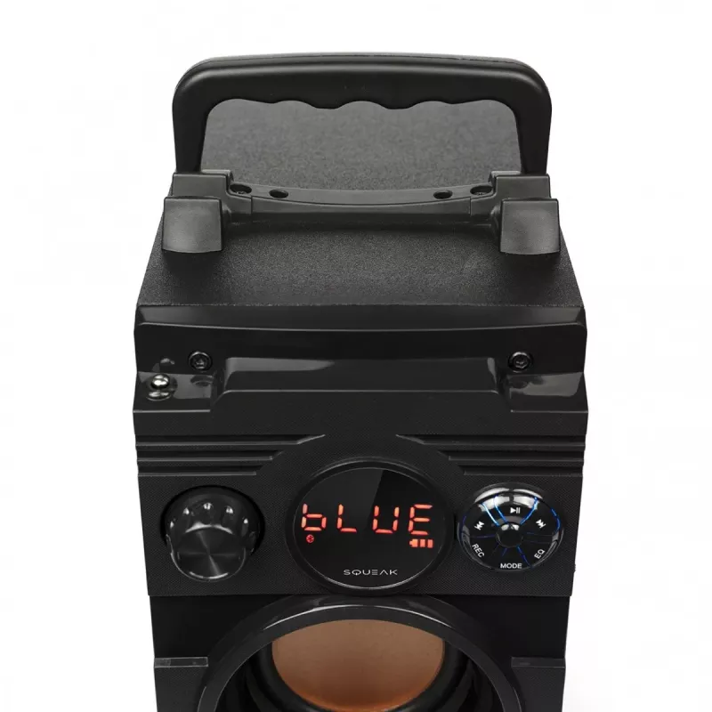 Squeak Bassblaster Bluetooth 5.1 kõlar, FM-raadio, MP3-mängija SQ1001