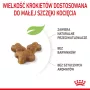 Kuiv kassitoit Royal Canin Kitten 10 kg – kana, 36% valku, 18% rasva, kassipoegadele ja tiinetele/imetavatele emastele
