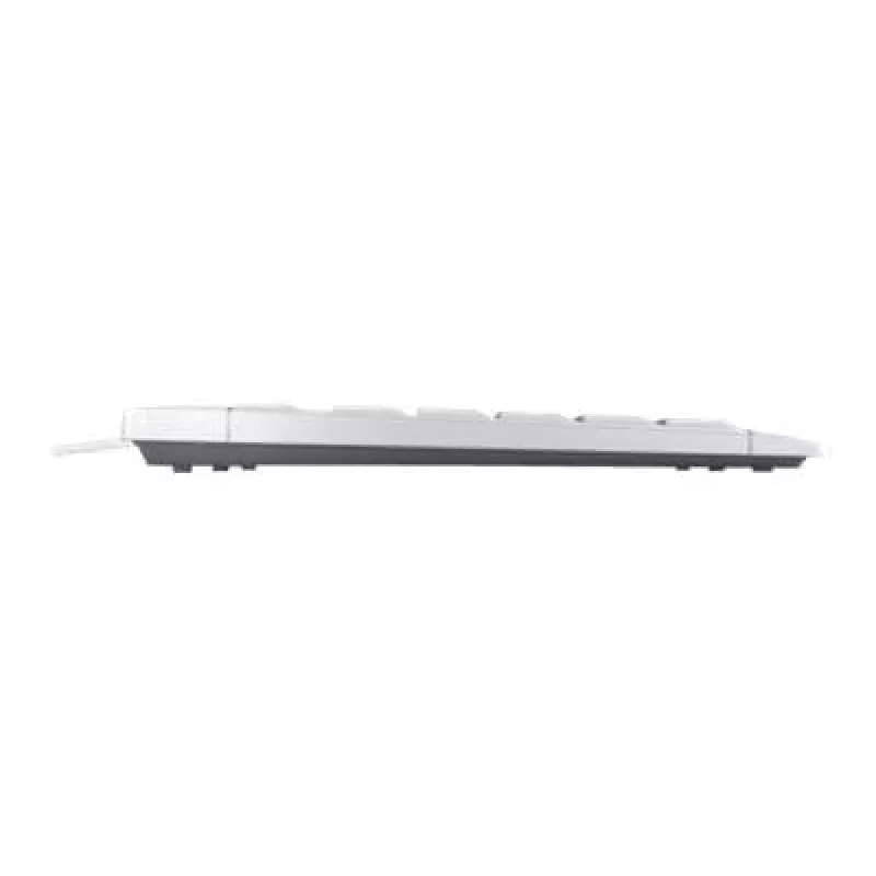 CHERRY STREAM TKL klaviatuur Universal USB QWERTZ Saksa Valge