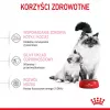 Kuiv kassitoit Royal Canin Mother & Babycat 2 kg — kana, tiinetele, imetavatele emakassidele ja kassipoegadele (Junior)