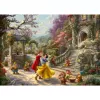 Pusle Schmidt Spiele 59625 Plokkpusle 1000 tk Multikad