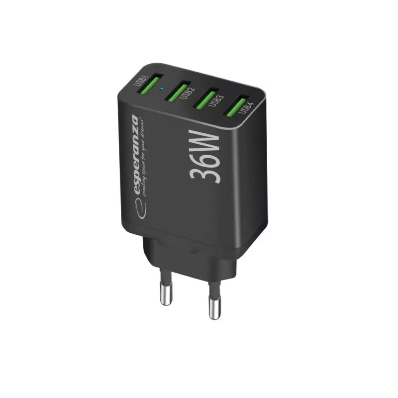 Esperanza EZC107K vooluvõrgu laadija 36W Must