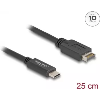 DeLOCK USB-kaabel USB Type-E Key A 20 kontaktiga isane USB USB-C isasele, 25 cm