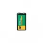 Taaslaetav aku GP 30117R9H-C1 8.4V 170mAh NiMH akupakett