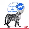 Märg kassitoit Royal Canin Indoor Sterilized 85 g kott — täiskasvanud toas elavatele kastreeritud kassidele, linnuliha maitsega, pakendis 12 x 85 g