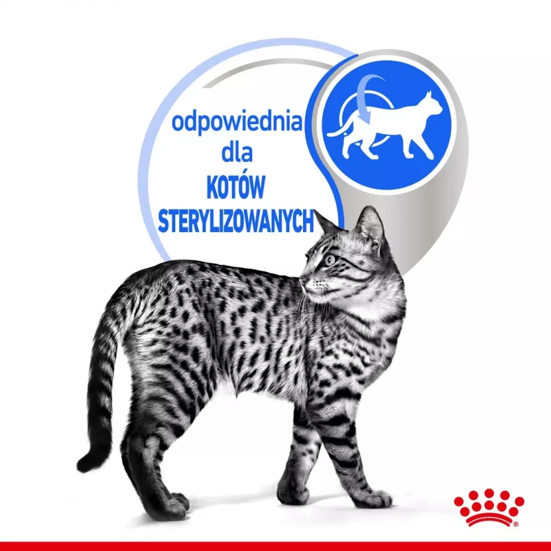 Märg kassitoit Royal Canin Indoor Sterilized 85 g kott — täiskasvanud toas elavatele kastreeritud kassidele, linnuliha maitsega, pakendis 12 x 85 g