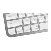 Klaviatuur MX Keys Mini Mac Pale 920-010526 hall