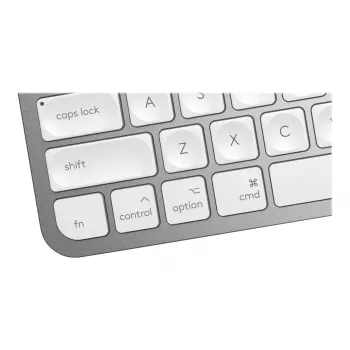 Klaviatuur MX Keys Mini Mac Pale 920-010526 hall