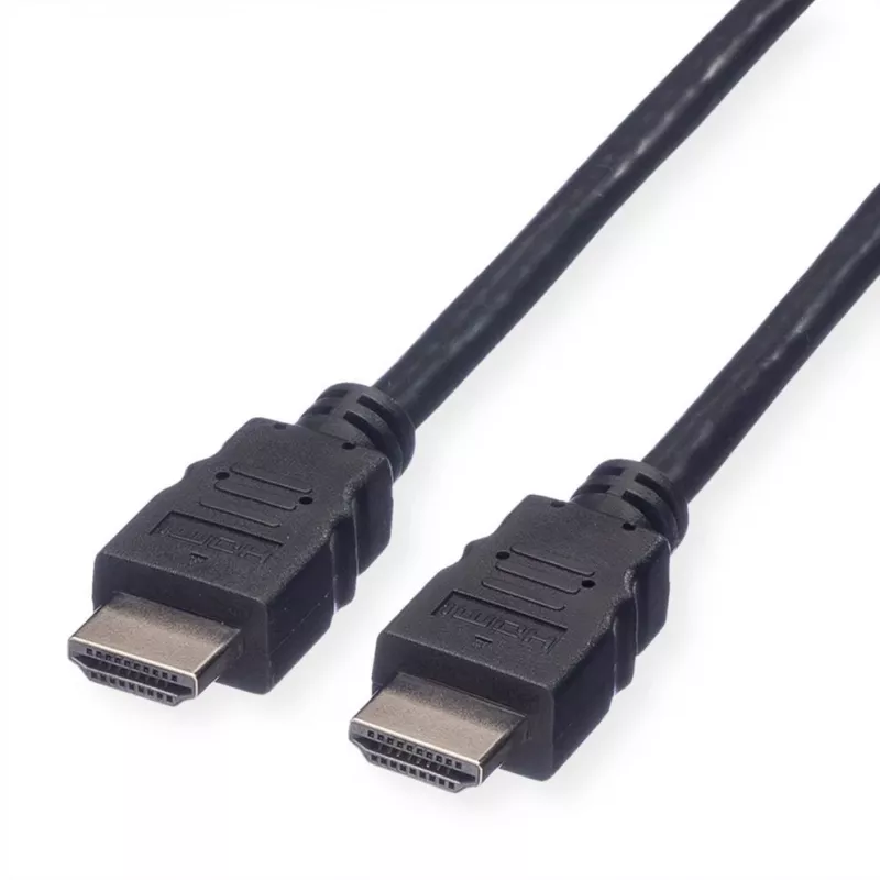 HDMI High Speed kaabel VALUE M/M 10m