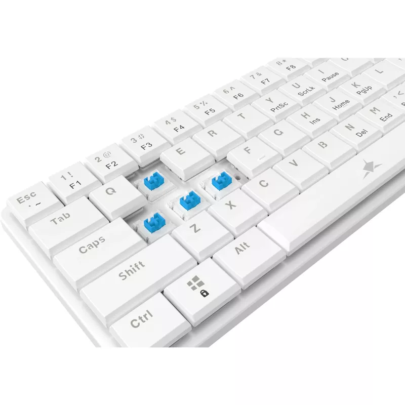 White Shark GK-006221 Nagamaki White-Mechanical-Blue.SW