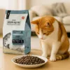 Kuiv kassitoit wiejskazagroda Monoprotein Salmon Adult 3 kg - teraviljavaba, ühe proteiiniga, 38% proteiini, 20% rasva