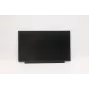 Lenovo 02HL701 13,3-tolline HD TN LCD-paneel, peegeldusvastane, 250 cd/m²