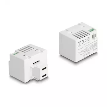 DeLOCK Keystone Module 41479 2 x USB USB-C PD 20W Valge