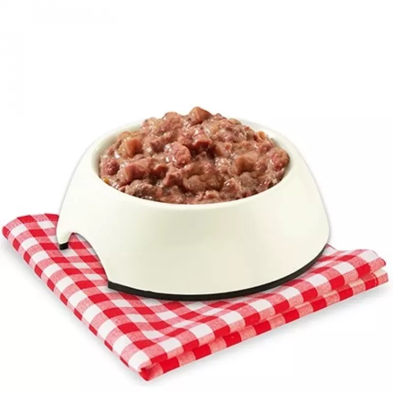 STUZZY Monoprotein Kassipoja kana - märgtoit kassipoegadele - 85g