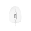 MODECOM M10 M-MC-0M10-200 hiir (optiline, 1000 DPI, valge värv) (M-MC-0M10-200)