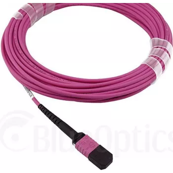 CBO fiiberkaabel BlueOptics SFP5252FU1MKB 1 m MPO OM4 violetne