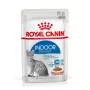 Märg kassitoit Royal Canin Indoor Sterilized 12 x 85 g — linnuliha, täiskasvanud steriliseeritud toakassid