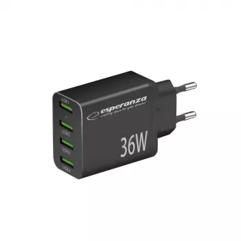 Esperanza EZC107K vooluvõrgu laadija 36W Must