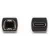 DeLOCK USB 2.0 adapter USB USB-C emane Type-B isane 65839