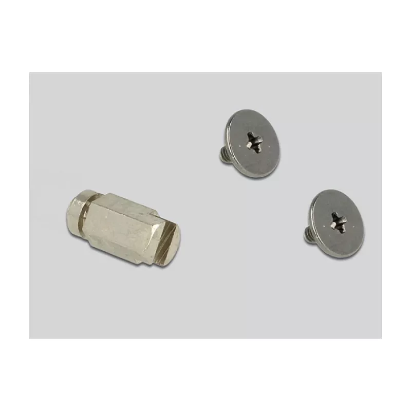 Sisemine M.2 adapter DeLOCK 65831