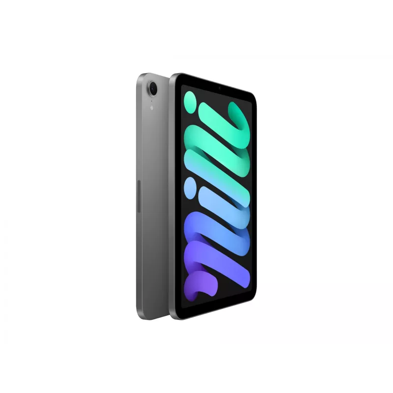 Apple iPad mini A17 Pro Wi-Fi - tahvelarvuti - 128GB - 21,1 cm (8,3) IPS (2266 x 1488) - kosmosehall (MXN63NF/A)