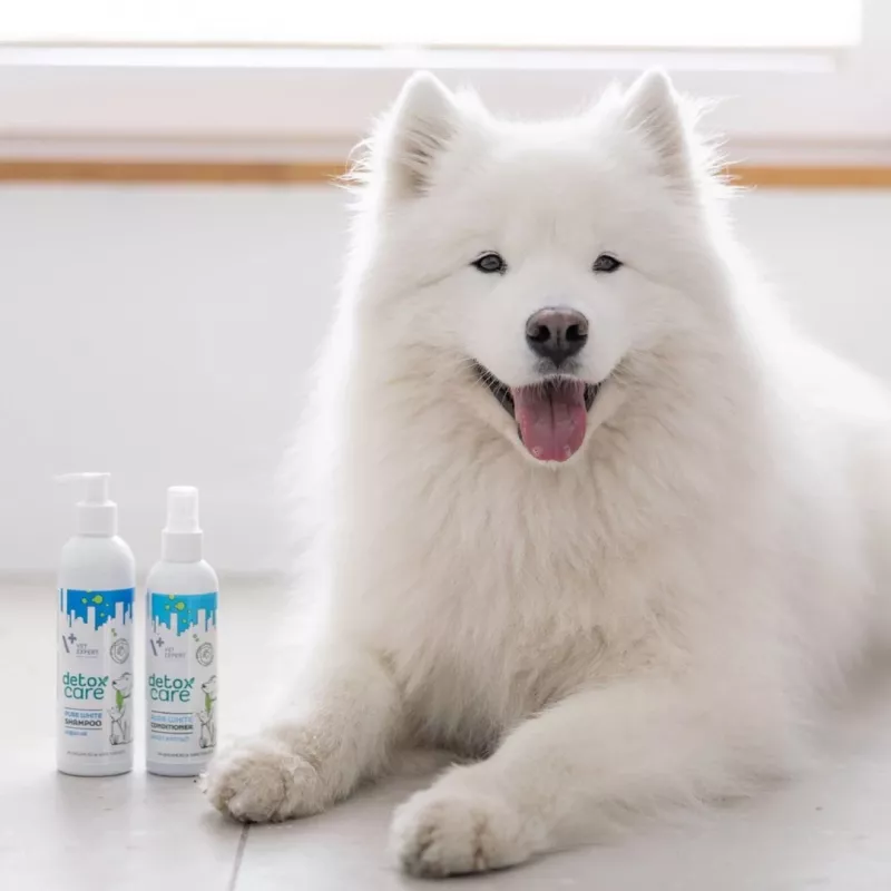 Conditioner VETEXPERT Clinic Care Balance 150 ml — veterinaarne karvapalsam koertele ja kassidele, 150 ml