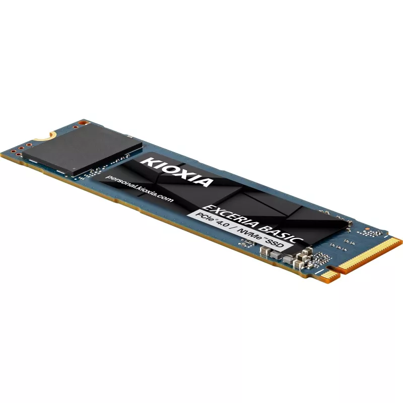 Sisemine SSD Kioxia LSF10Z001TG8 — 1 TB M.2 2280 PCIe 4.0 NVMe QLC
