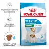 Kuiv koeratoit Royal Canin Starter Mother & Babydog 1 kg — Kana, 30% valku, 22% rasva