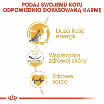 Kuiv kassitoit Royal Canin Sphynx Adult 2 kg — sealiha maitse, 33% valku, 23% rasva