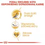 Kuiv kassitoit Royal Canin Sphynx Adult 2 kg — sealiha maitse, 33% valku, 23% rasva